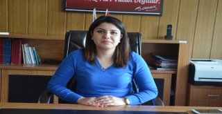 Fatsa Orman İşletme Şefi Şen: “Ormanların Korunması Ve Bakımı İçin Büyük Bir Çaba Gösteriyoruz