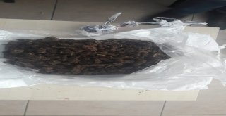 Uyuşturucu Satıcıları Yakalandı