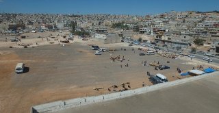 Şahinbeyde Kurban Satış Ve Kesim Yerleri Belirlendi