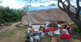 Evrimin Kaybıyla İlgili 3 Kişi Gözaltına Alındı