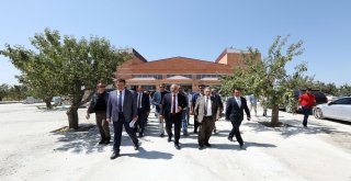 Vali Zorluoğlu Fidanlık Parkında İncelemelerde Bulundu