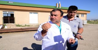 Kaçan Kurbanlıkları Özel Tim Yakalayacak