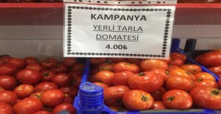 Tokatlı Esnaf, Domateste İndirim Kampanyası Başlattı