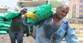 Ekmeklerini Kömürden Çıkarıyorlar