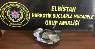 Cips Paketinde Bonzai Ele Geçirildi