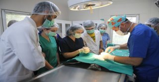 Geleceğin Veterinerleri Staj İçin Osmangaziyi Seçti