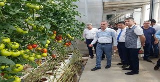 İnegölden Doğubeyazıta Kardeşlik Eli