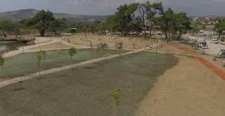 Yunusemreden Sulu Tohumlama Uygulaması