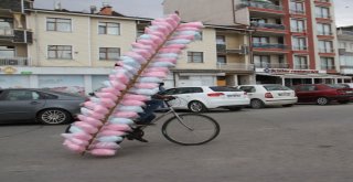 Pamuk Şekerin Bisikletle İlginç Seyahati