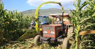Başkan Atıcı, Silaj Yapma Fiyatlarını Açıkladı