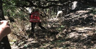 Sedanuru Arama Çalışmaları Sürüyor