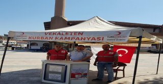 Kızılayın Yurtdışı Vekalet Bedeli Yükselmesine Rağmen İlgi Var