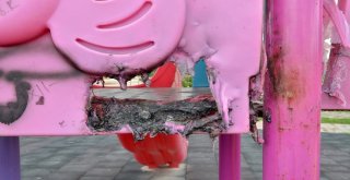 Şehir Magandaları İş Başında