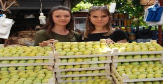 Silifkede İncir, Üreticisinin Yüzünü Güldürüyor