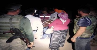 Kaybolan 15 Yaşındaki Çocuğu İz Takip Köpeği Buldu