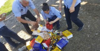 Bismilde Tarihi Geçmiş Gıdalar İmha Edildi