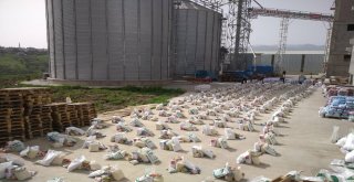 Kahramanmaraştan İdlibe İnsanı Yardım Sevkiyatı