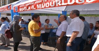 Muğlada Kyk Tanıtım Stantları Açıldı