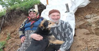 Orduda Patpat Kazası: 1 Ölü, 1 Yaralı