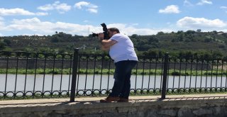 Fatsada Foto Safari Başladı