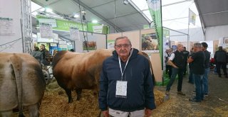 Karacabeyde Kurbanlık Fiyatları Belli Oldu