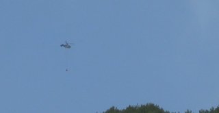 Hataydaki Orman Yangını Kontrol Altına Alındı