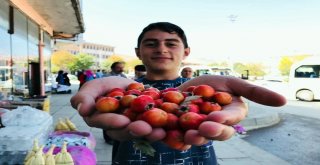 Kışın Habercisi Alıç Tezgahta