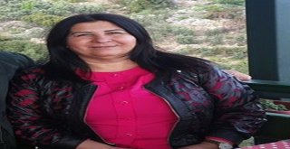 Dspli Kıray İstifa Etti, Karakış Meclise Girdi