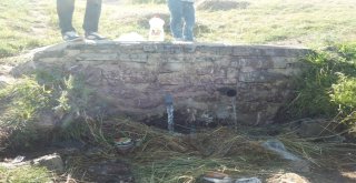 Piknik Alanını Çöpe Çevirdiler