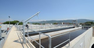 Buski Gemlik Körfezine Hayat Verecek