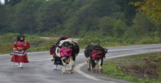 Yaylalardan Dönüş Başladı