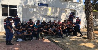Mersinde Göçmen Kaçakçılığı Operasyonu