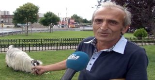 (Özel) Kurbanlık İçin Aldığı Keçiyle Arkadaş Oldu