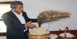 İpek Dokumacılığı Koza Evinde Yaşatılıyor