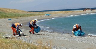 Van Büyükşehir Belediyesi Martı Ölümleri Sonrası Harekete Geçti