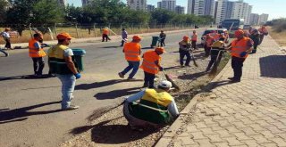 Gezici Temizlik Ekibi İş Başında