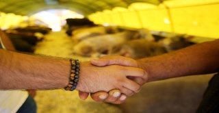 Başkentliler Yakacıkta Pazarlığa Tutuştu