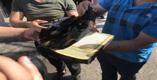 Her Şey Yandı, Bir Tek Kuran-I Kerim Yanmadı