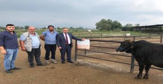 Düzcede Kurban Bayramı Öncesi Tedbirler Hazır