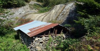 500 Yıllık Değirmen