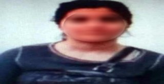 İkna Edilen Pkklı Teslim Oldu