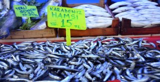 Yasak Bitti, Bilecikte Balık Tezgahları Şenlendi