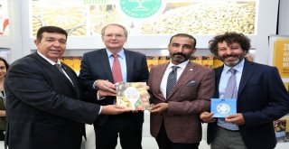 Gto Ab Bilgi Merkezinin Gastronomi Festivalinde Açtığı Stant Yoğun İlgi Görüyor