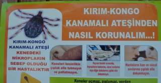 “Keneyi Hafife Alma Tedbiri Elden Bırakma”