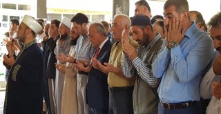 Atatürk Üniversitesi Rektörü Prof. Dr. Çomaklının Acı Günü