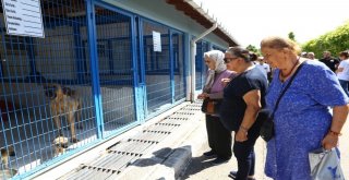 Huzurevi Sakinlerinden Can Dostlara Destek