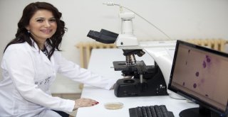 Gribe Karşı Bağışıklılığınızı Propolisle Güçlendirin