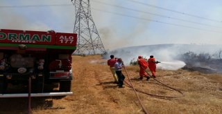Ormanlık Alandaki Yangın Kontrol Altına Alındı