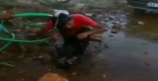 Sosyal Medyaya Düşen Dayak Görüntüleri Tepki Topladı