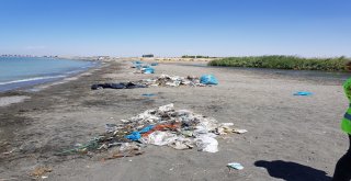 Van Gölü Sahilinde 40 Ton Çöp Toplandı